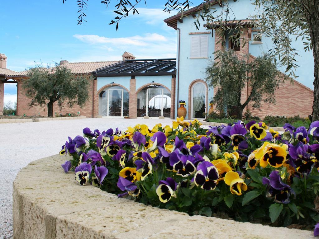 Gambettola Agriturismo L'Infinitoヴィラ エクステリア 写真